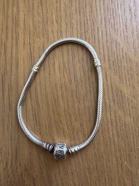Pandora Charm Bracelet